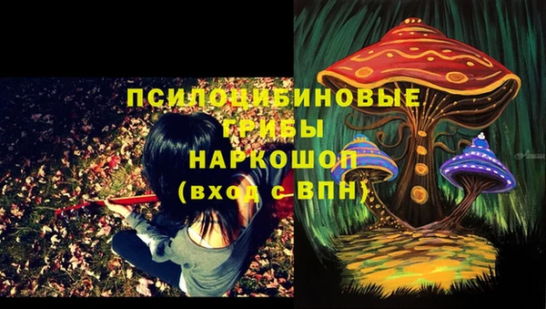 метамфетамин Аркадак